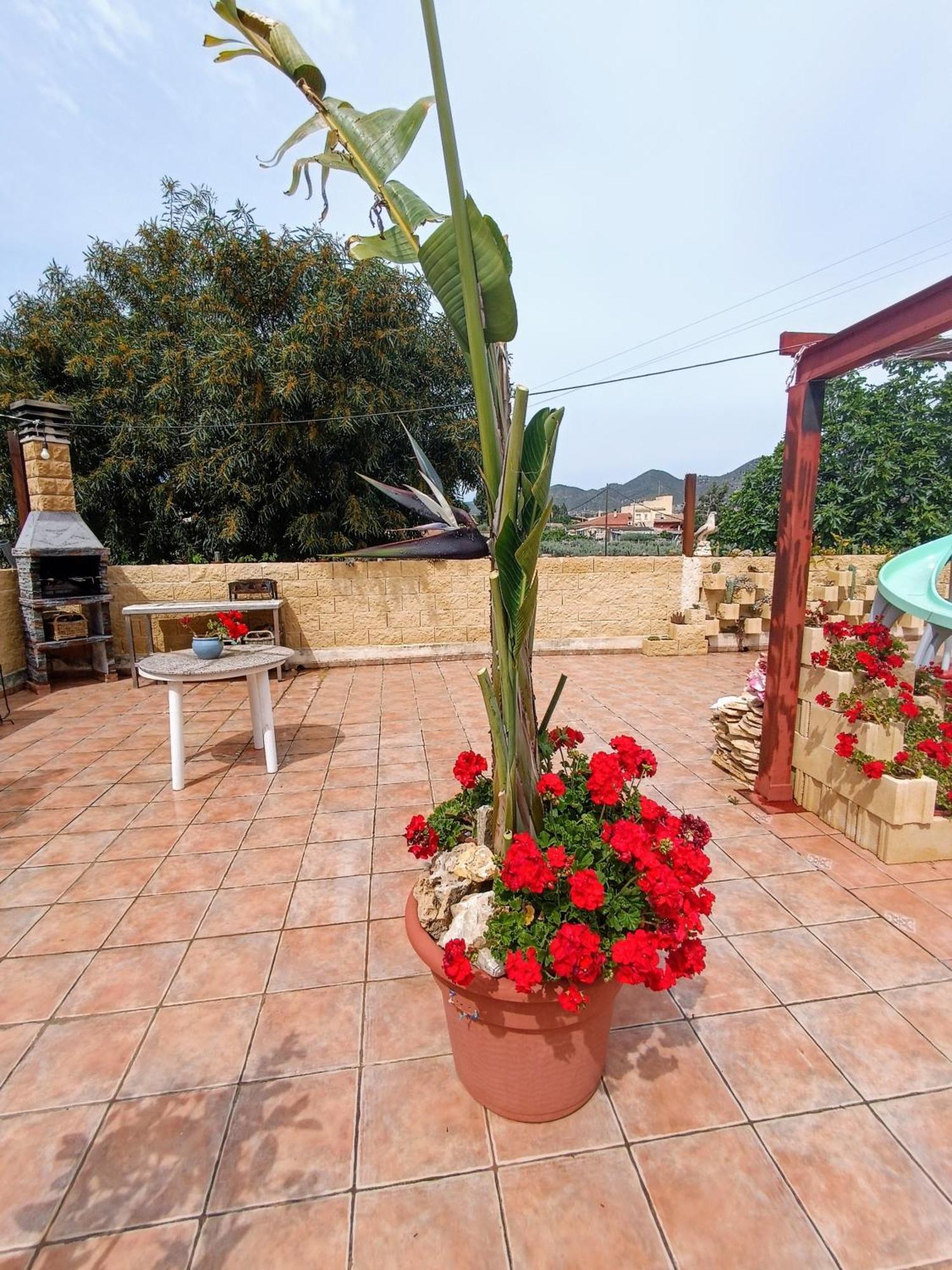 Casa Chalet Venta Ruizo Lorca  Exterior photo